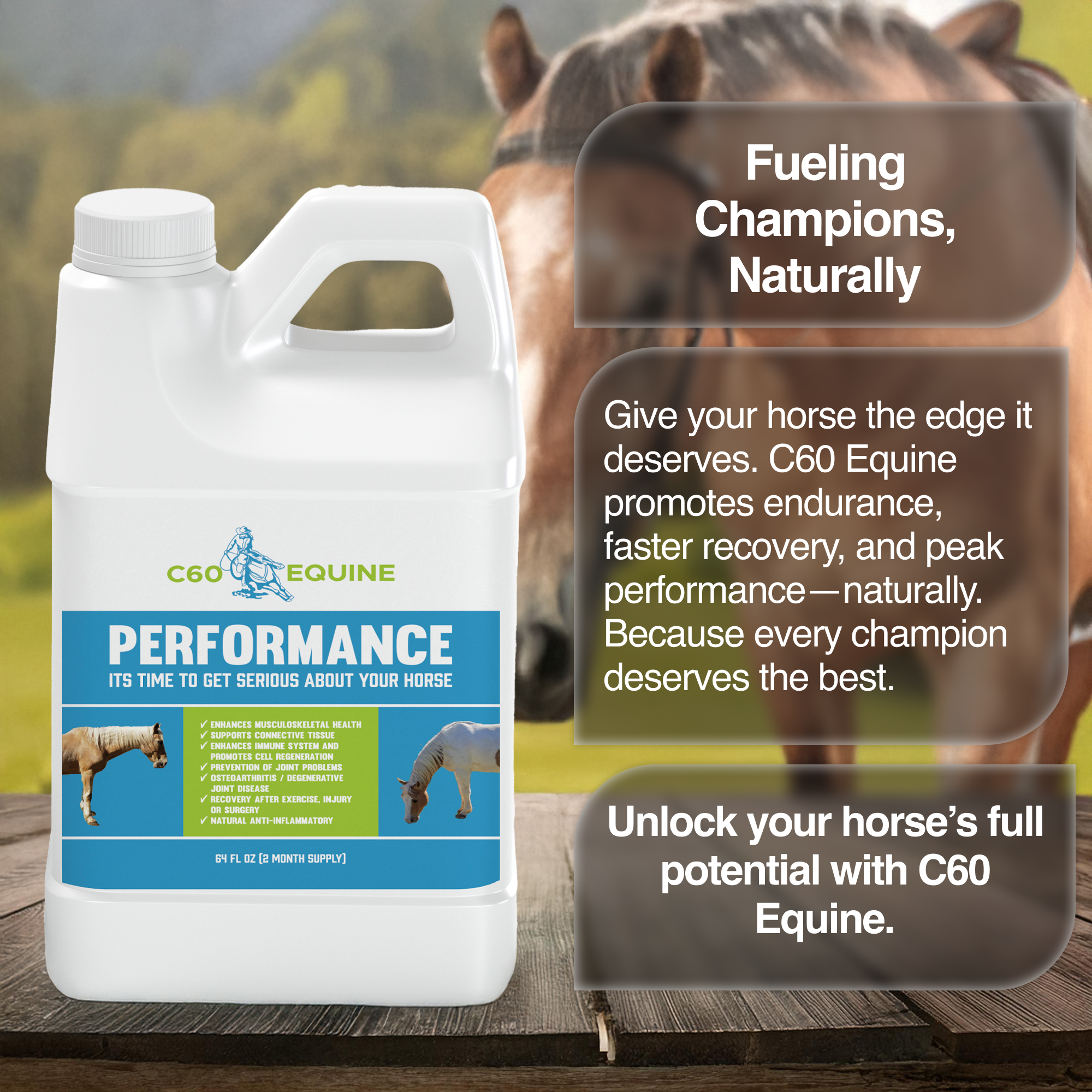 Ultimate C60 Equine Boost: Health & Performance Supplement for Horses