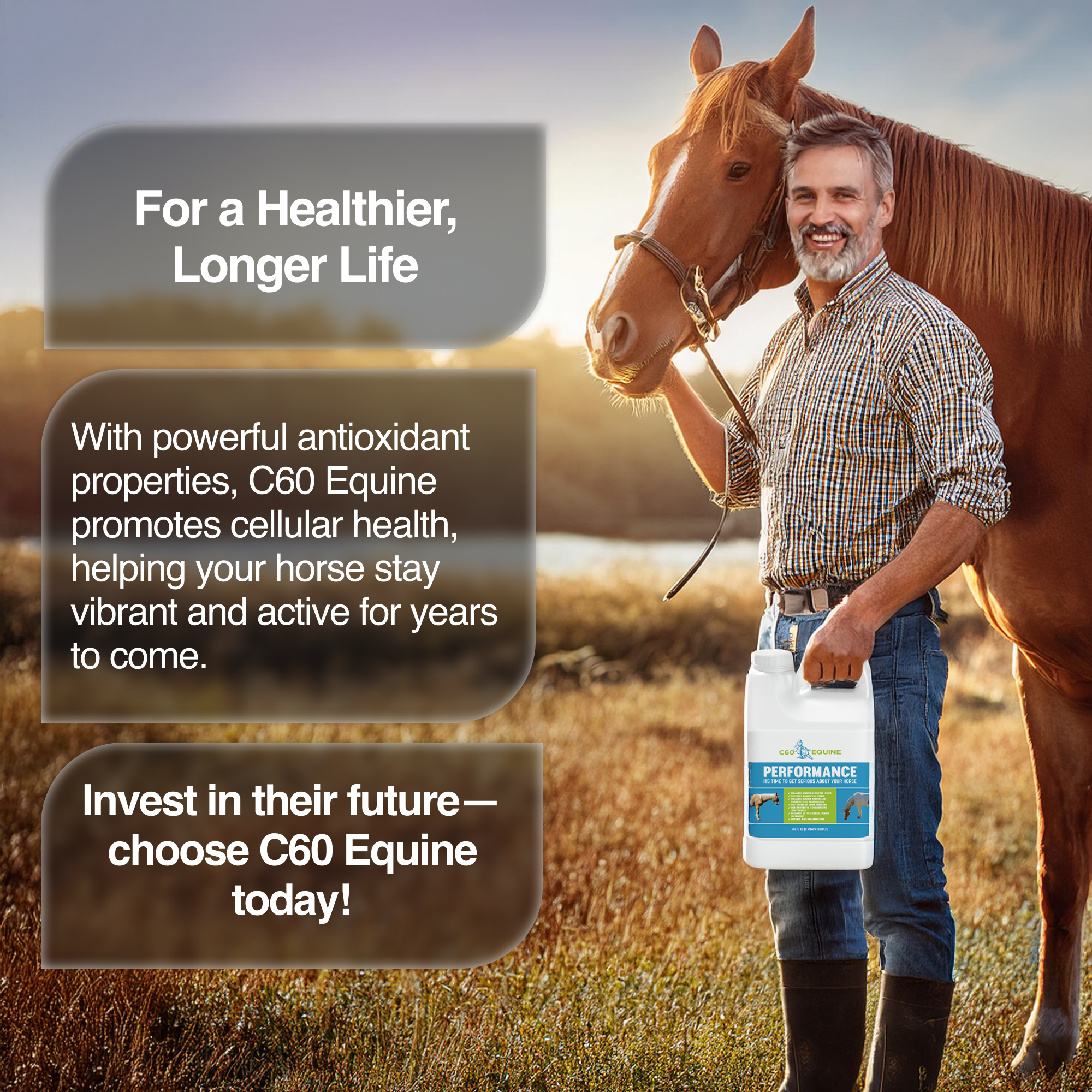 Ultimate C60 Equine Boost: Health & Performance Supplement for Horses