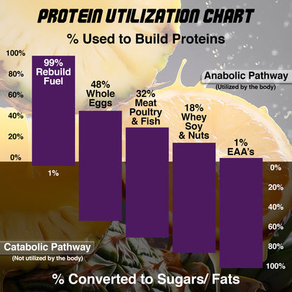 Rebuild Fuel – Essential Amino Acid Formula for Muscle Growth & Performance