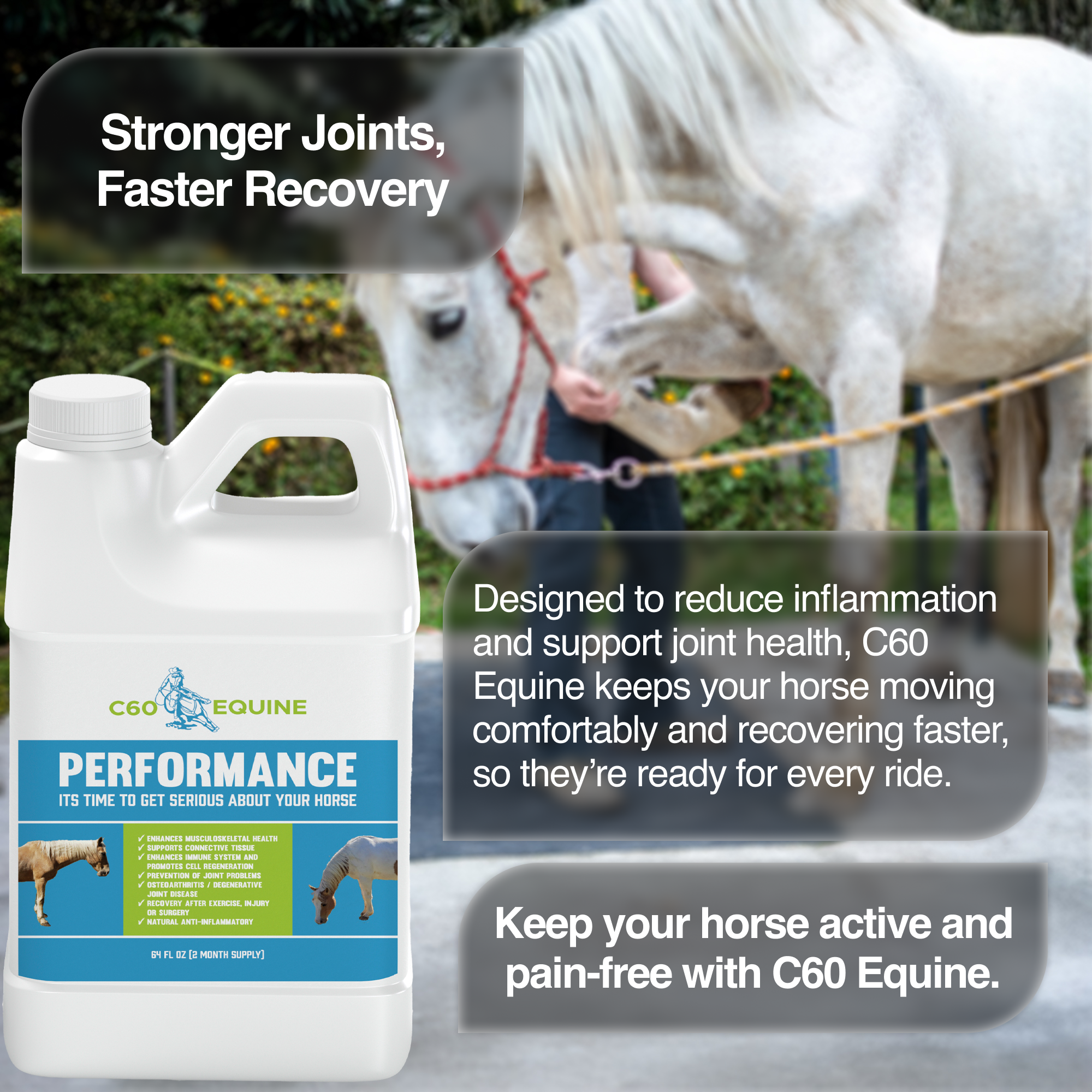 Ultimate C60 Equine Boost: Health & Performance Supplement for Horses