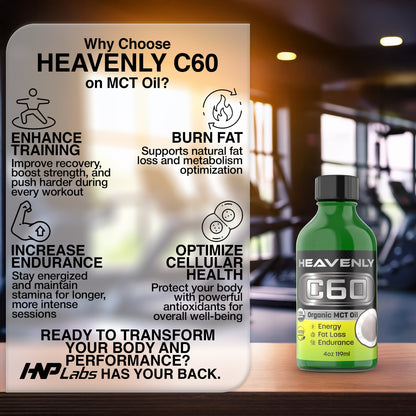 C60 Oil 6-Pack: Olive Oil, Avocado Oil & MCT Coconut Oil Combo The Ultimate Antioxidant Trio for Energy, Vitality & Longevity