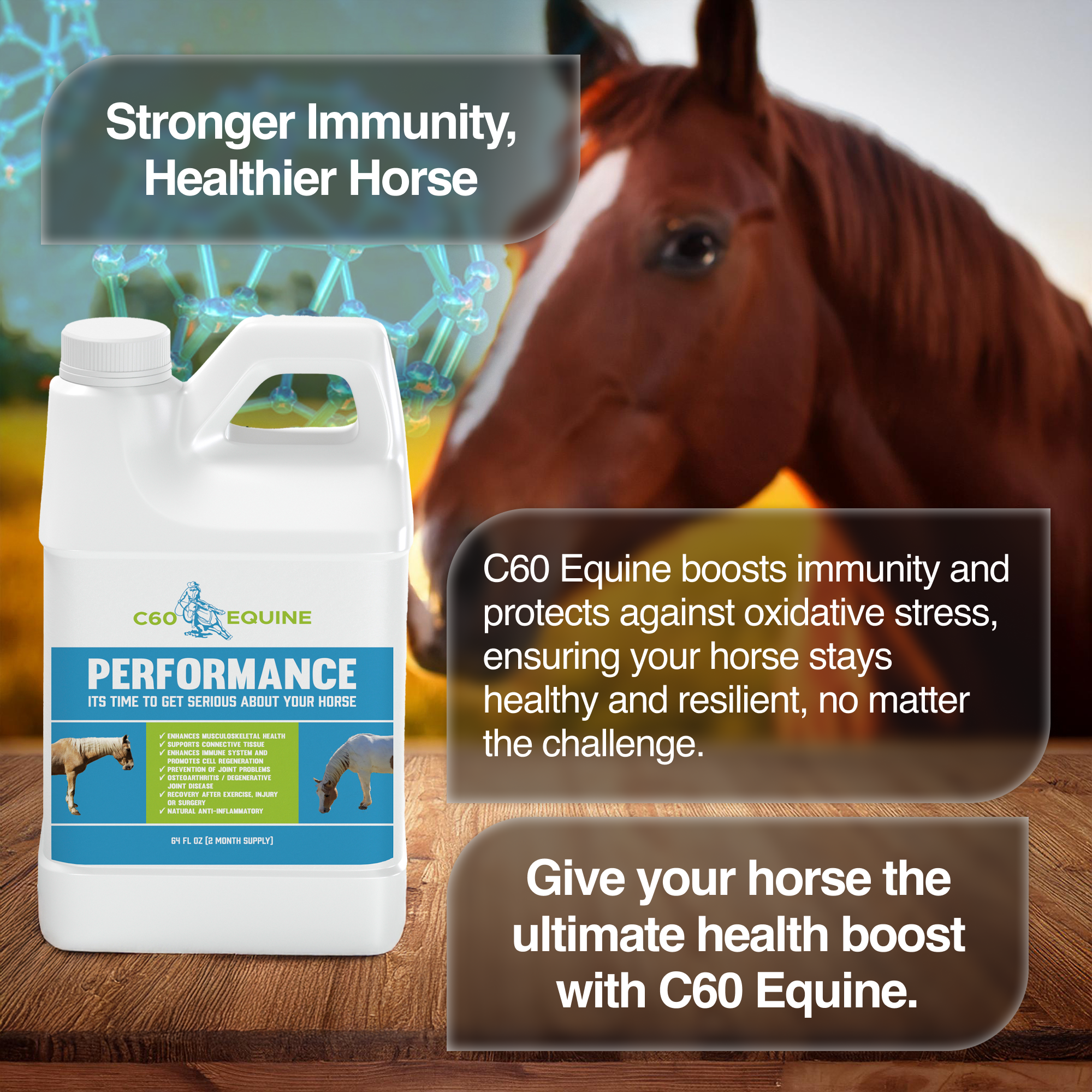 Ultimate C60 Equine Boost: Health & Performance Supplement for Horses